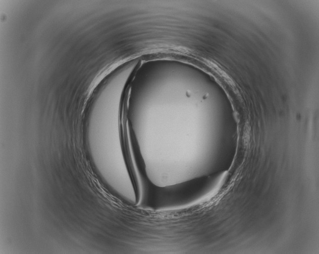 X0000085000877200703261126