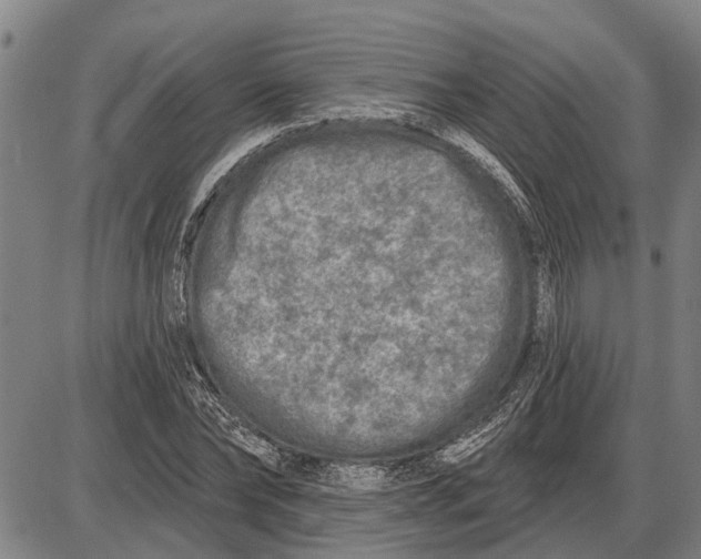 X0000085000878200703261126