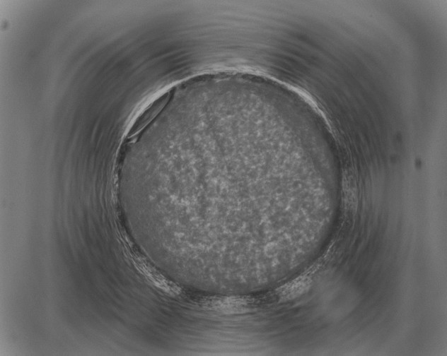 X0000085000879200703261126