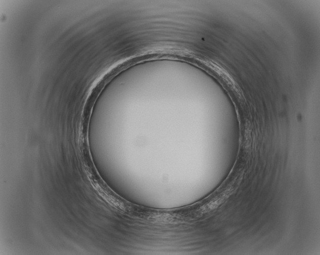 X0000085000880200703261126