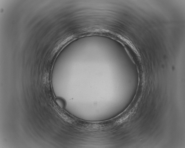 X0000085000881200703261126