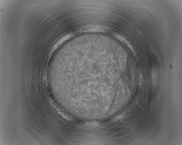 X0000085000882200703261126