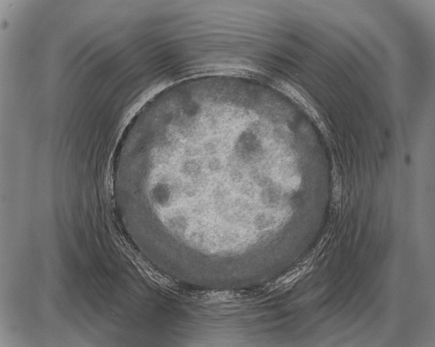 X0000085000883200703261126