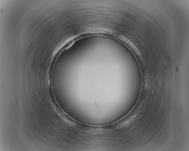 X0000085000885200703261126