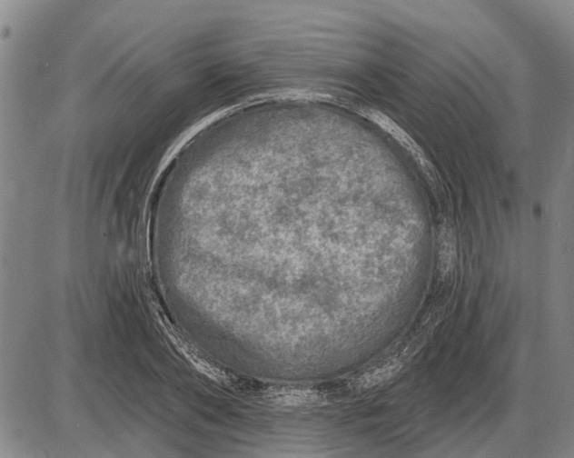 X0000085000886200703261126