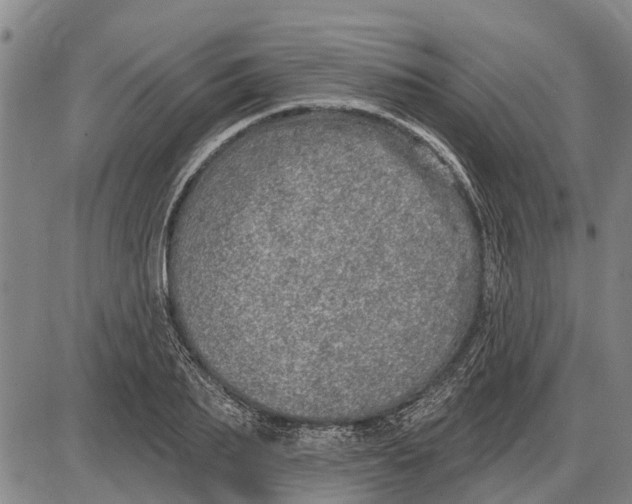 X0000085000887200703261126