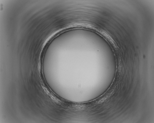 X0000085000888200703261126