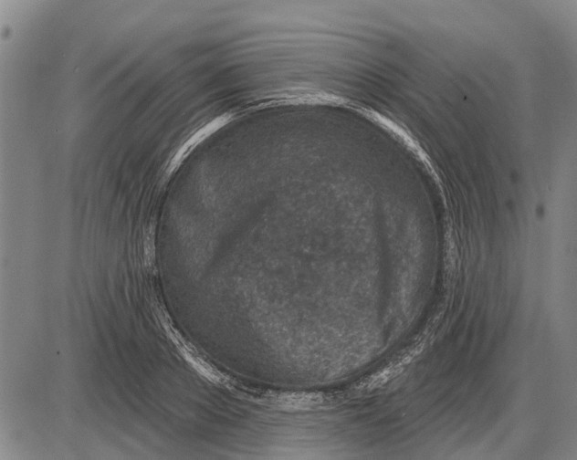 X0000085000889200703261126