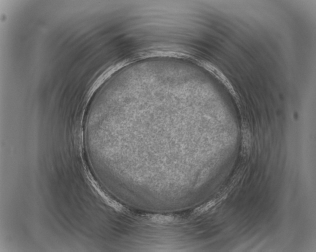 X0000085000890200703261126