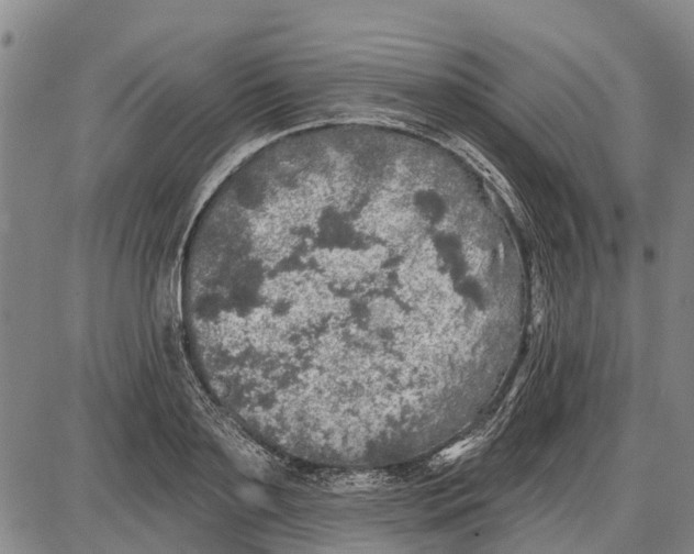 X0000085000891200703261126