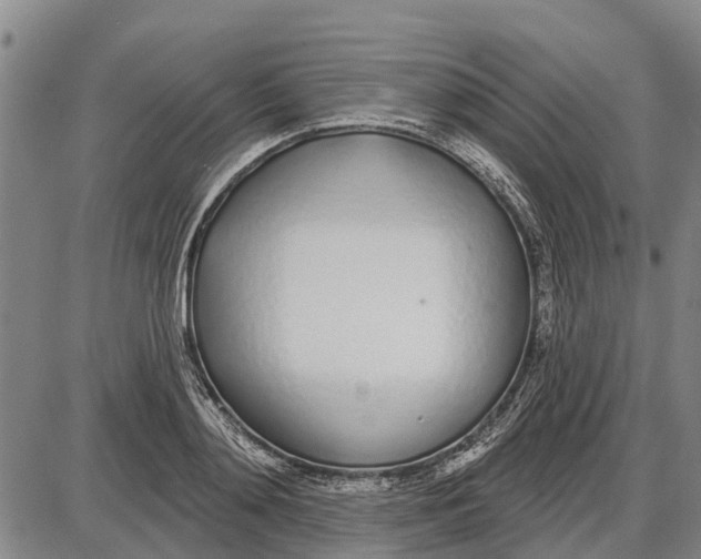 X0000085000892200703261126