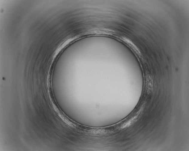 X0000085000893200703261126