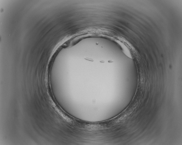 X0000085000894200703261126