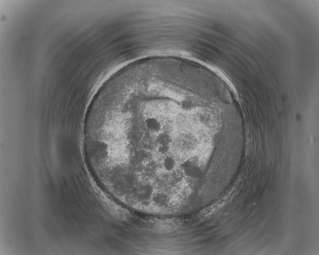 X0000085000895200703261125