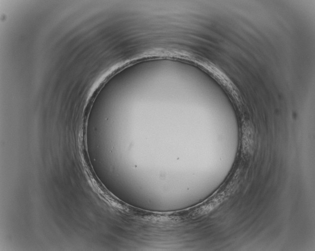 X0000085000896200703261125