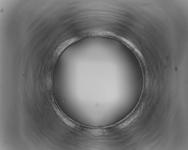 X0000085000897200703261125