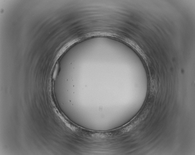 X0000085000898200703261125