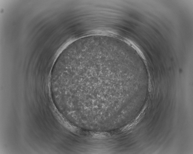 X0000085000899200703261125