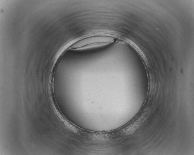 X0000085000901200703261125