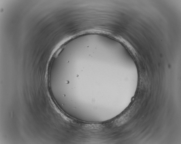 X0000085000902200703261125