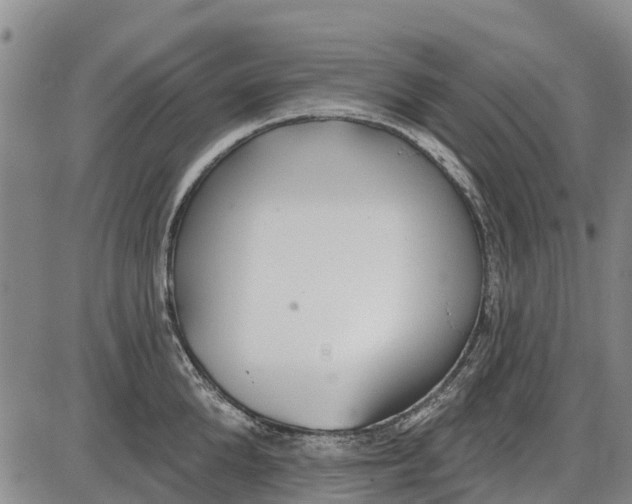 X0000085000904200703261125