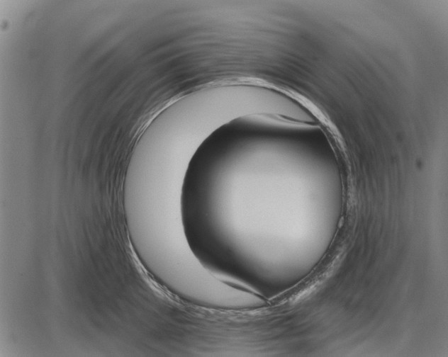 X0000085000905200703261125