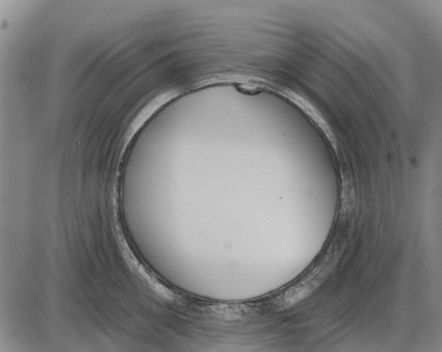 X0000085000906200703261125