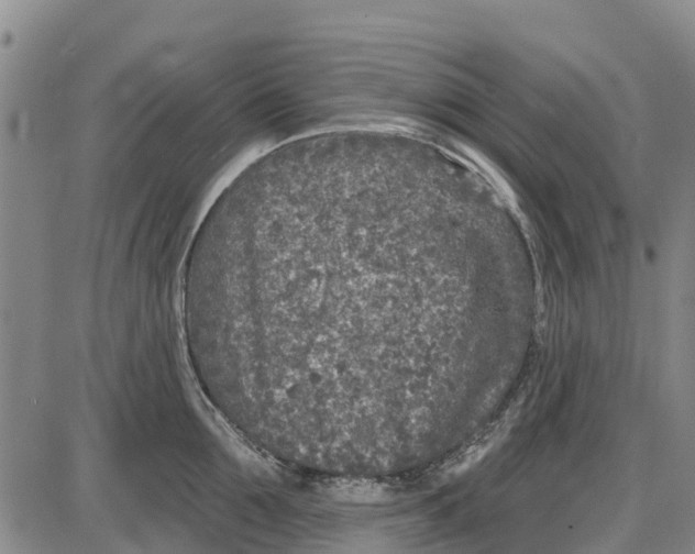 X0000085000907200703261125