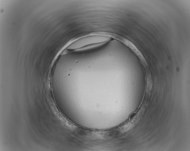 X0000085000908200703261125