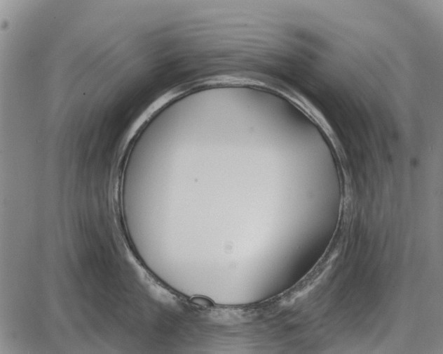 X0000085000909200703261125