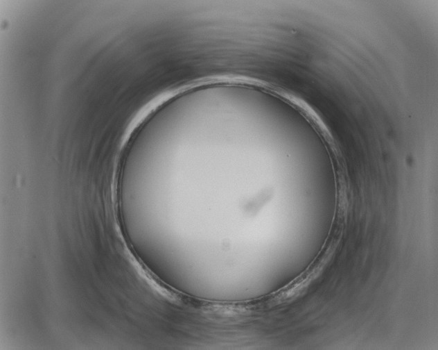 X0000085000910200703261125