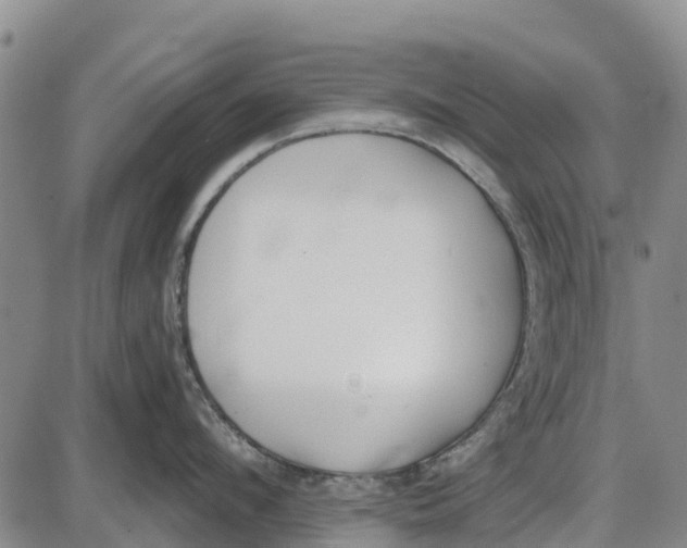 X0000085000912200703261125