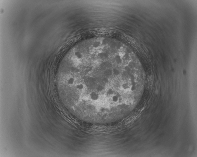 X0000085000913200703261124