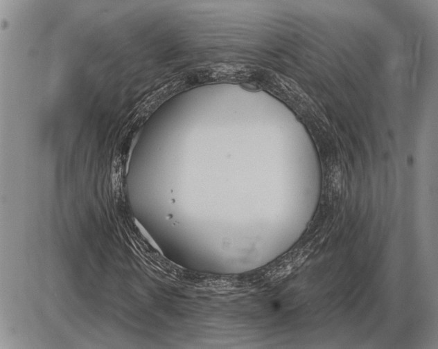 X0000085000914200703261124