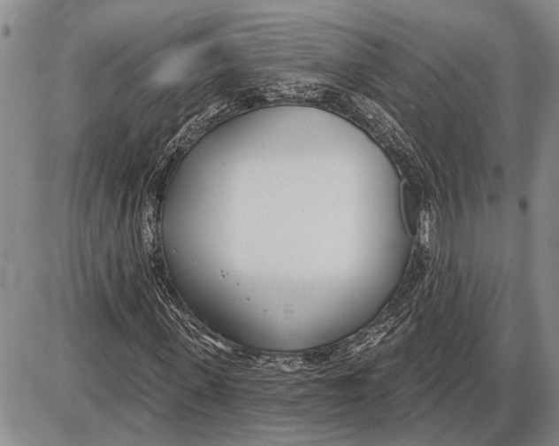 X0000085000915200703261124