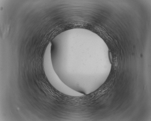 X0000085000916200703261124