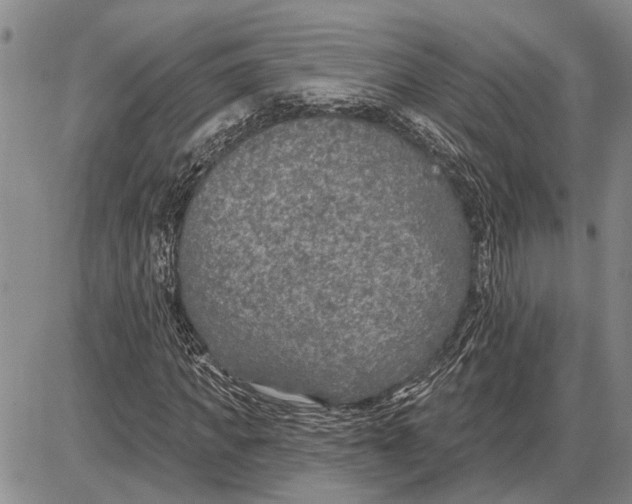 X0000085000917200703261124