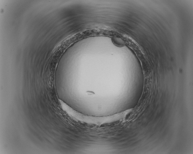 X0000085000919200703261124