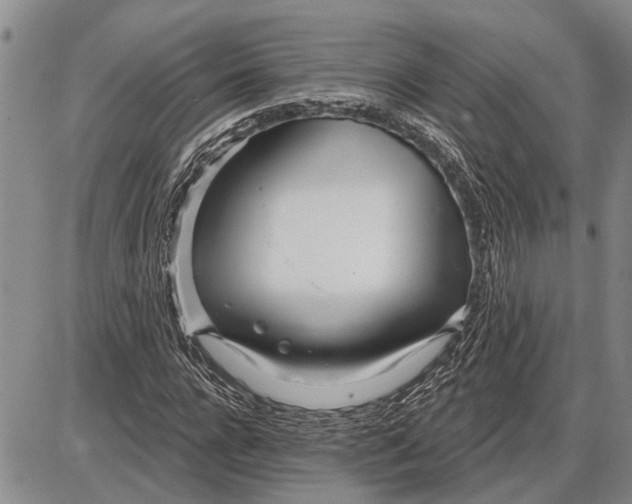 X0000085000920200703261125