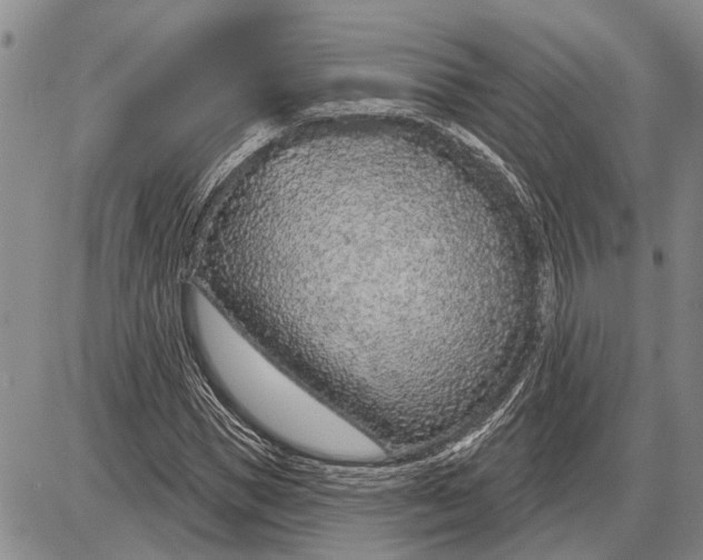 X0000085000921200703261125