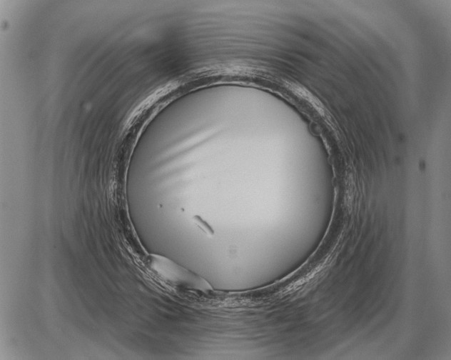 X0000085000922200703261125