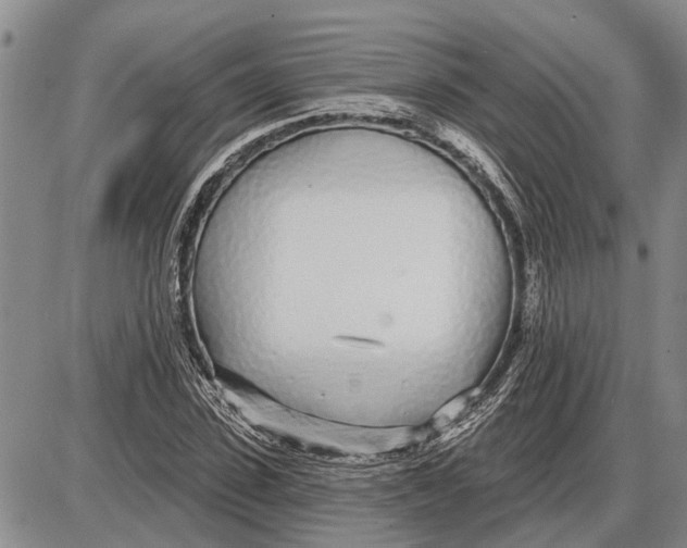 X0000085000923200703261125