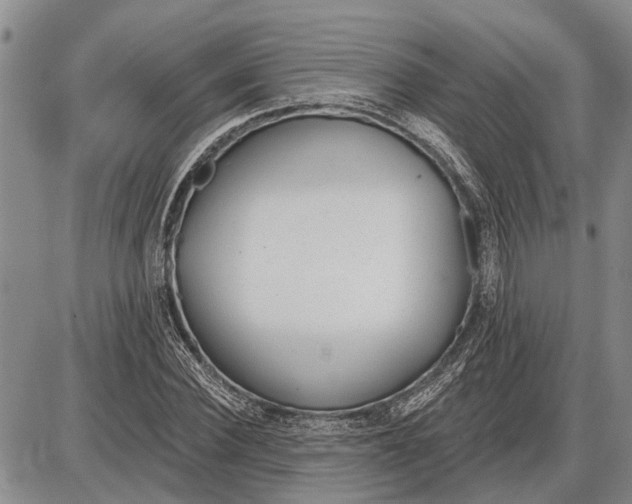 X0000085000924200703261125