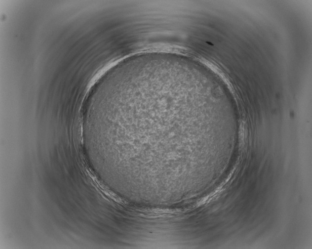 X0000085000925200703261125