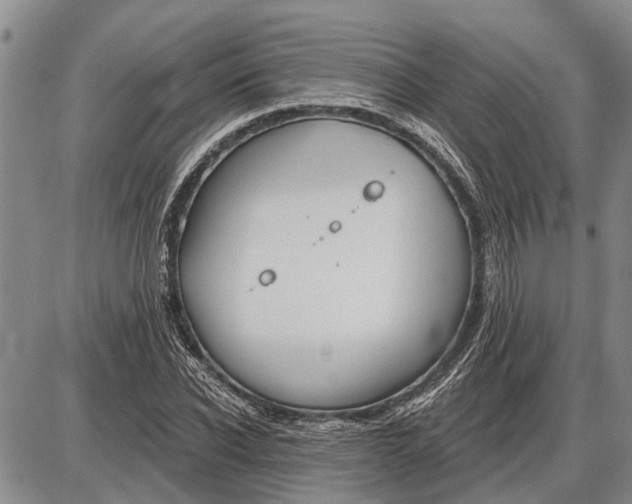 X0000085000926200703261125