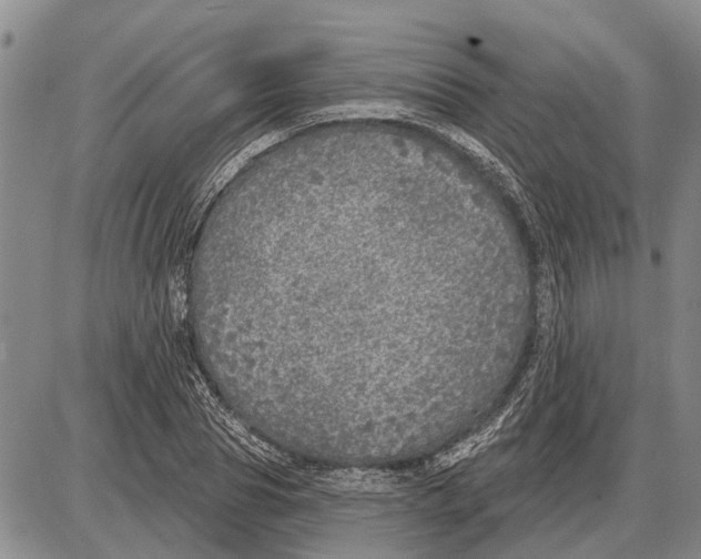 X0000085000929200703261125