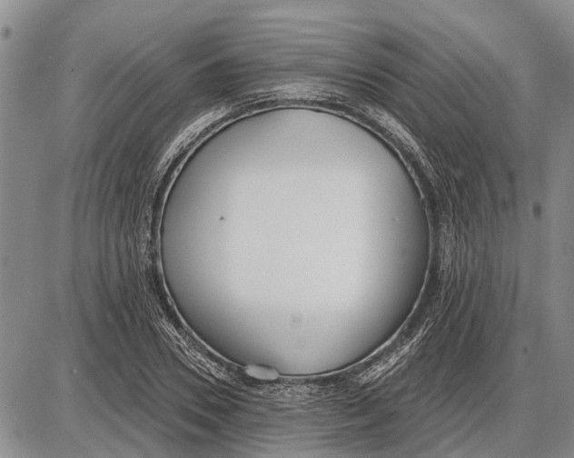 X0000085000930200703261125