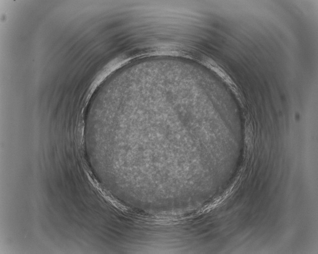 X0000085000933200703261125