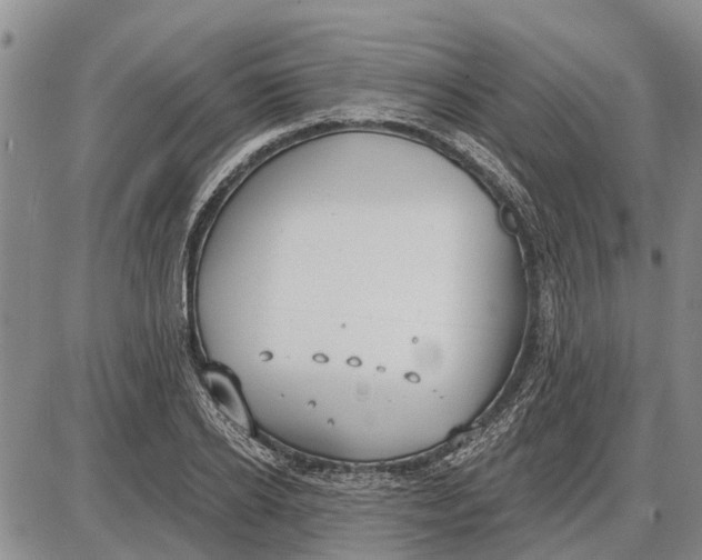 X0000085000934200703261125