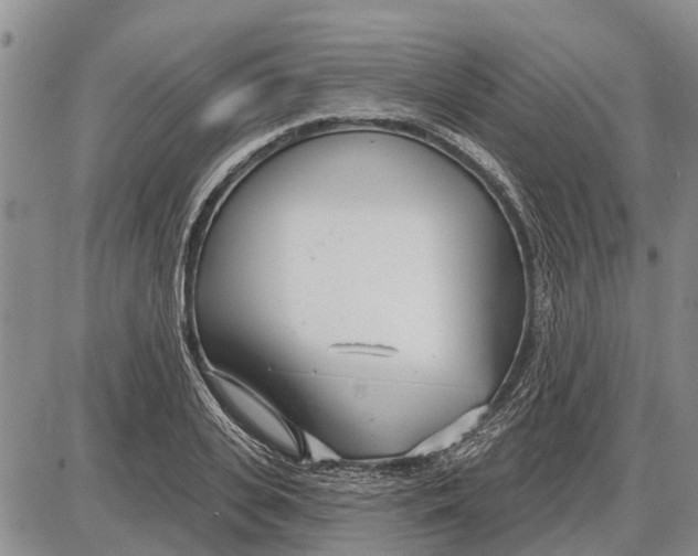 X0000085000935200703261125